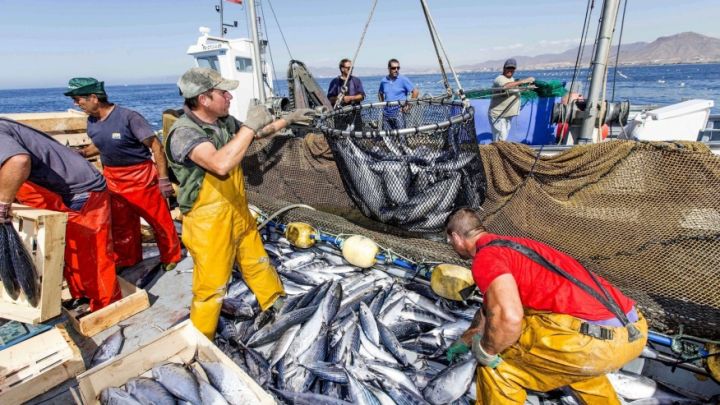 Los impactos de la Ley de Bases en la industria pesquera y naval