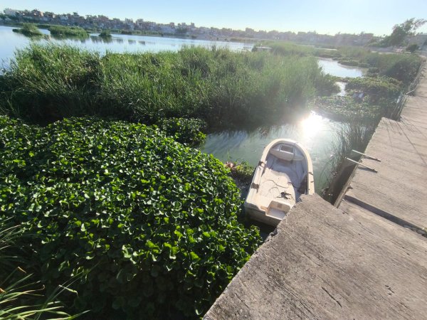 Esc&aacute;ndalo en el Indoamericano: denuncian explotaci&oacute;n laboral, falta de representaci&oacute;n sindical y condiciones indignas en la obra del futgolf.