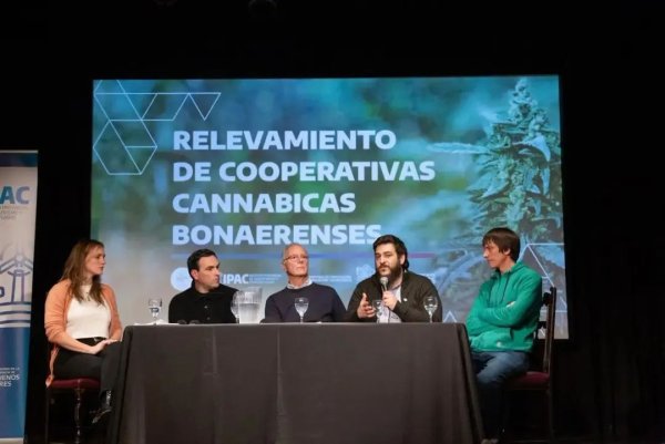  Impulsan en la Provincia un modelo de cannabis medicinal con eje en la salud p&uacute;blica, el trabajo y la producci&oacute;n