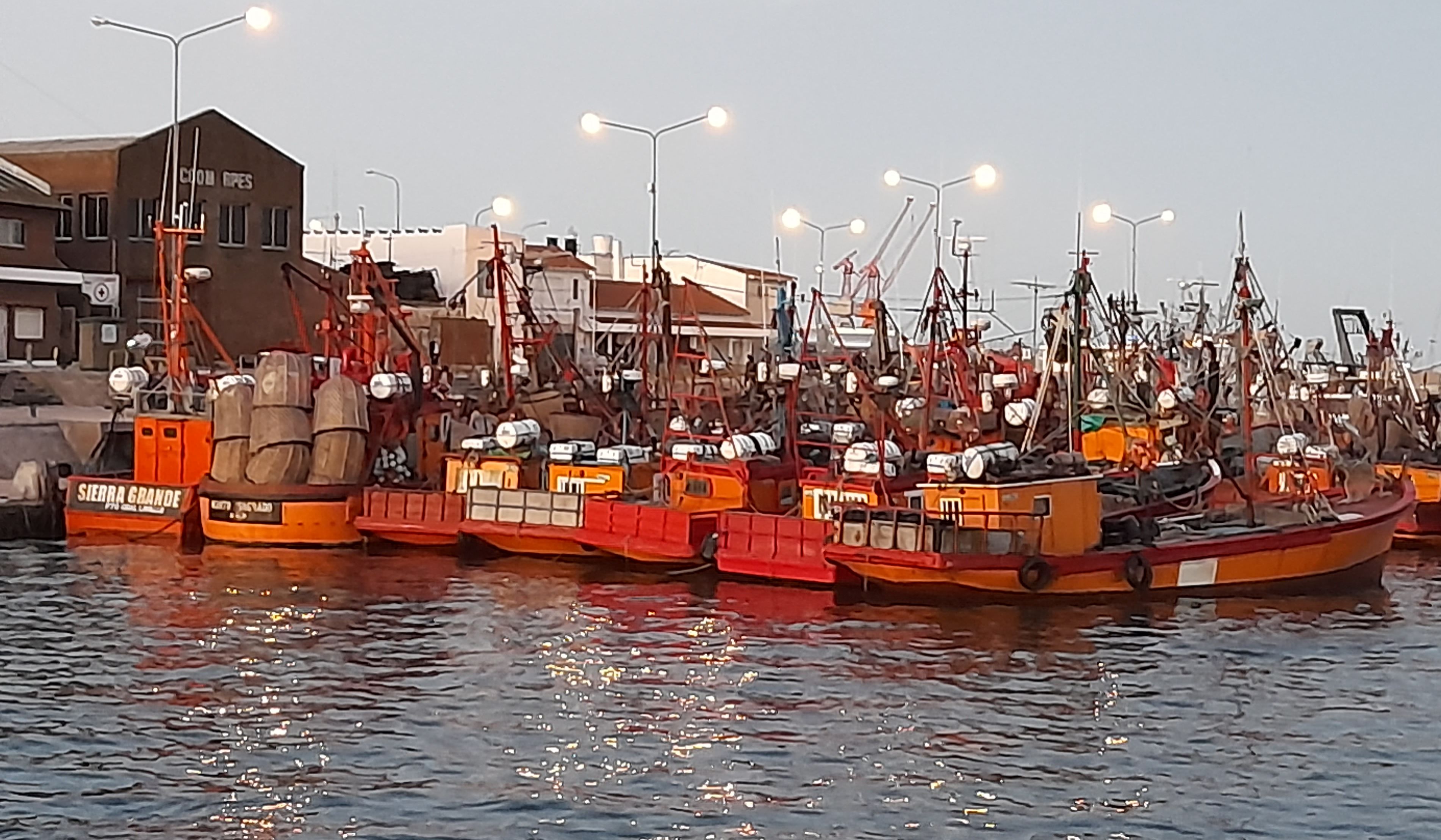 El Fondo de Marinos de la Federación Internacional del Transporte presentó una aplicación que busca mejorar la seguridad y salud del sector.